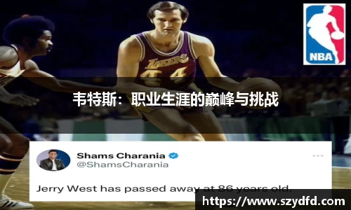 韦特斯：职业生涯的巅峰与挑战